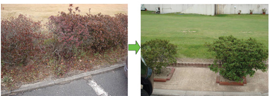 福山市内　ゴルフ練習場様の「草デン土」の施工前と施工後の事例です。